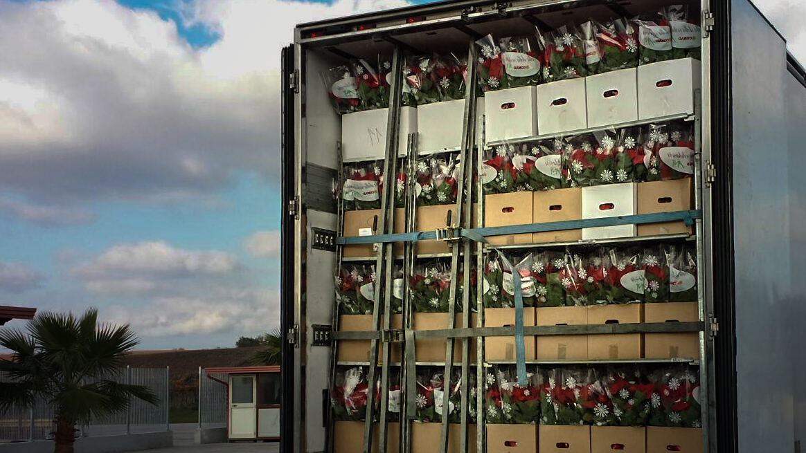 Trasporto di piante e fiori